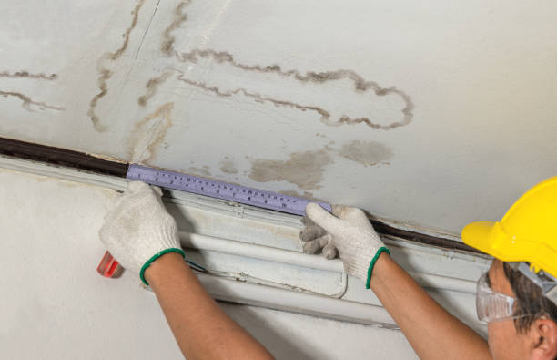 Reliable Mold Remediation contractor in Brooklyn, WI by Water Damage Irwin